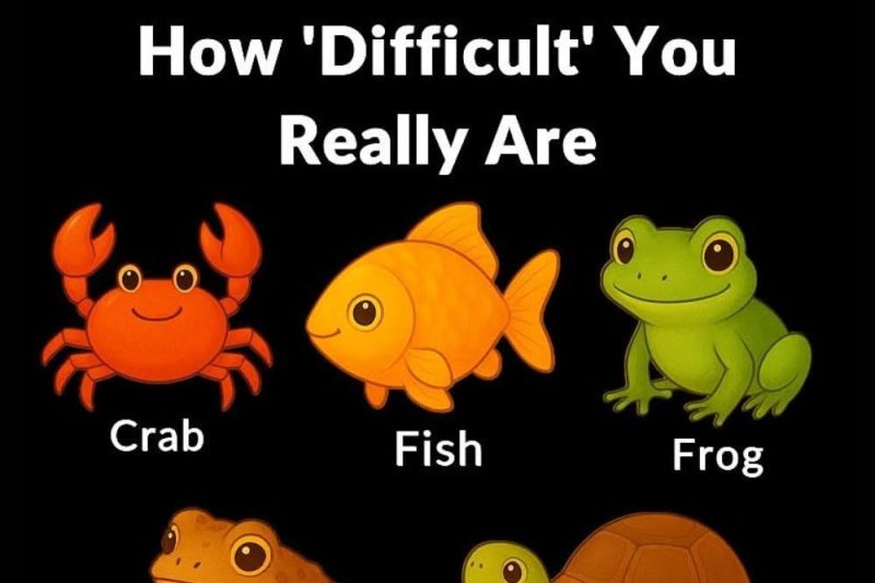 Don’t Che.at. Pick The Odd One Out To See How ‘Difficult’ You Really Are – Diy Home Garden